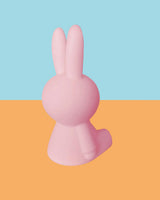 Mr Maria Miffy Colourful Surprise Bundle of Light