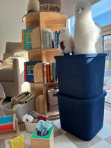 The Sculpted Bin - Original with Lid