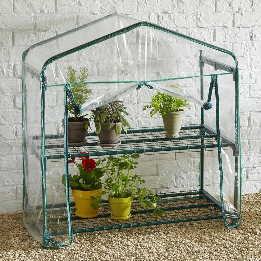 GreenThumb Classroom Greenhouse