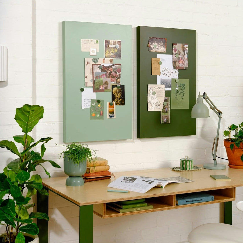 The Storyboard in Olive