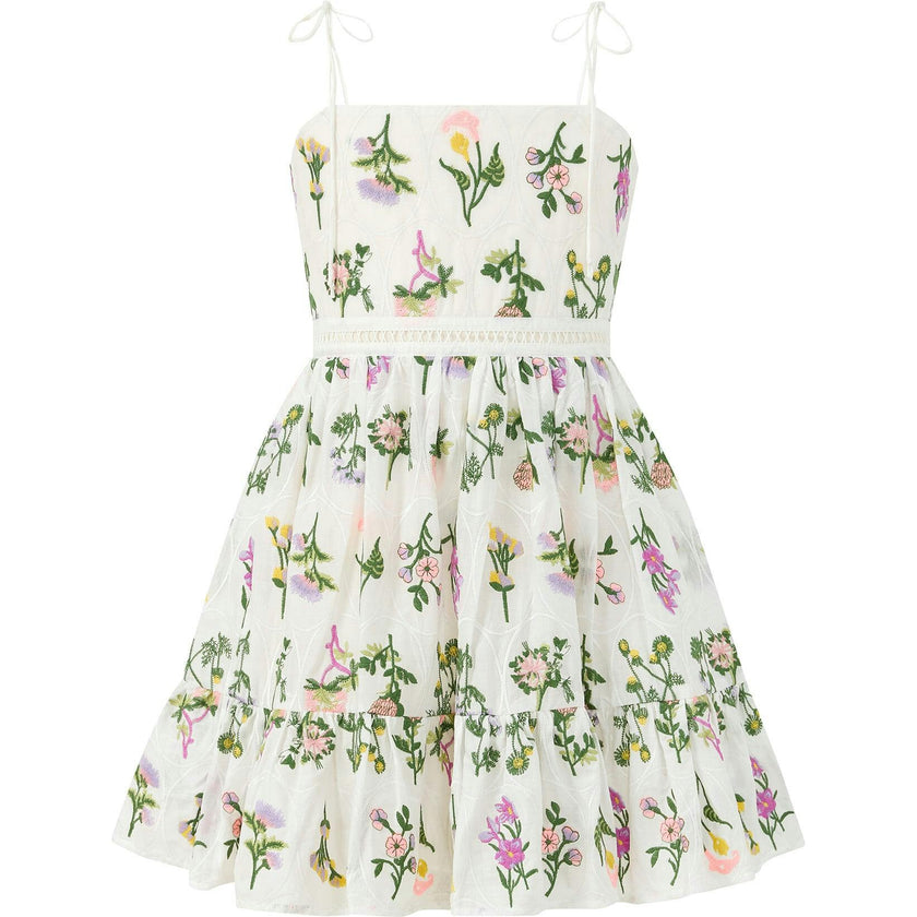 Emely Embroidered Mini Dress