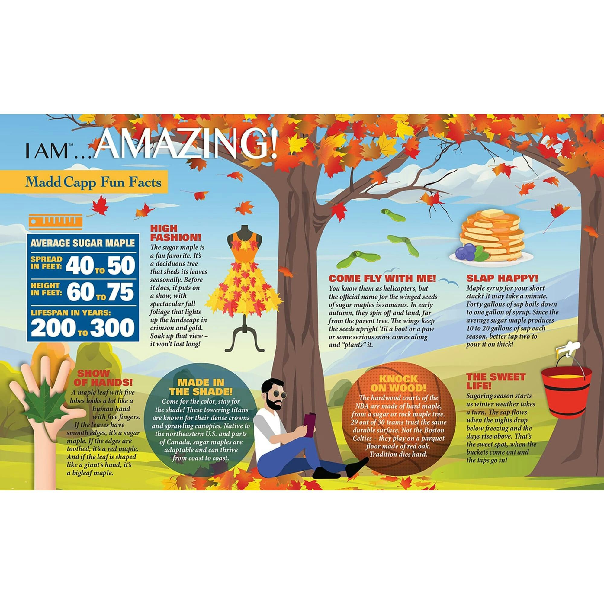 I Am Sugar Maple- Tree Sd Jigsaw Puzzle