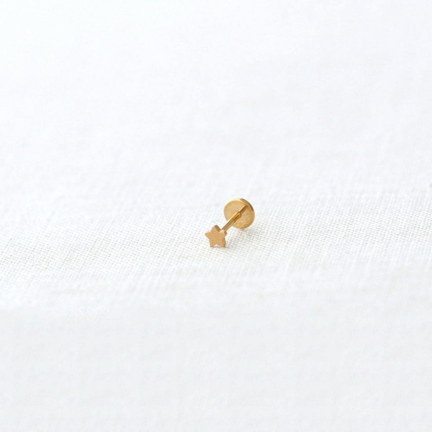 Star Titanium Flat Back Stud Earring