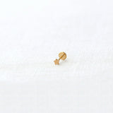 Star Titanium Flat Back Stud Earring
