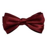 Multicolor Classic Satin Bow Hair Clip Set