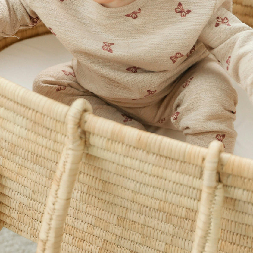 Butterfly Turtle Printed 2Pc Set