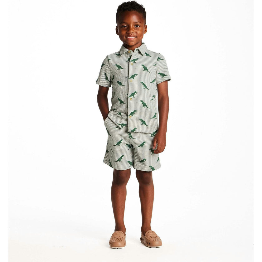 Boys Short Sleeve Cabana Set | Green Stripe Dino