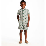 Boys Short Sleeve Cabana Set | Green Stripe Dino