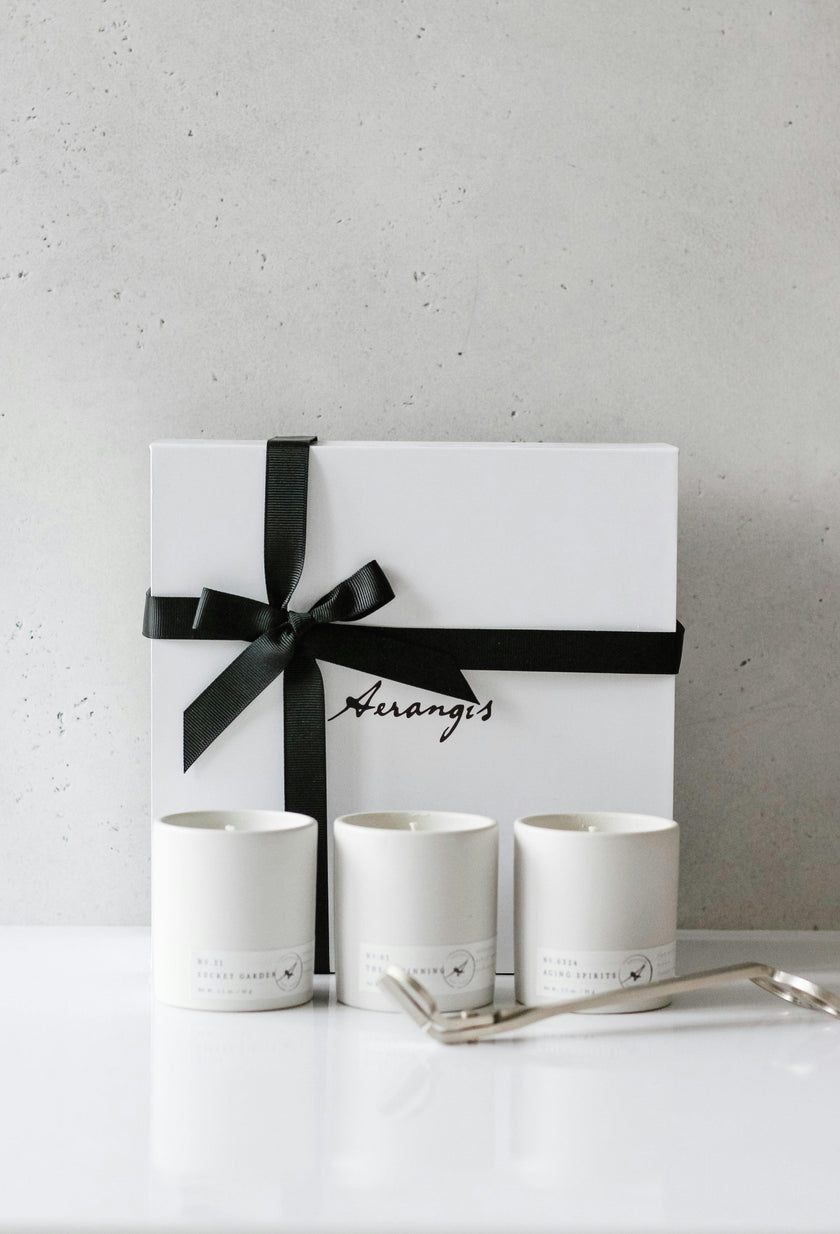 Discovery Journey Gift Set