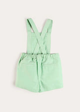 Elephant Embroidered Smocked Dungarees in Sage Green (18mths-4yrs)