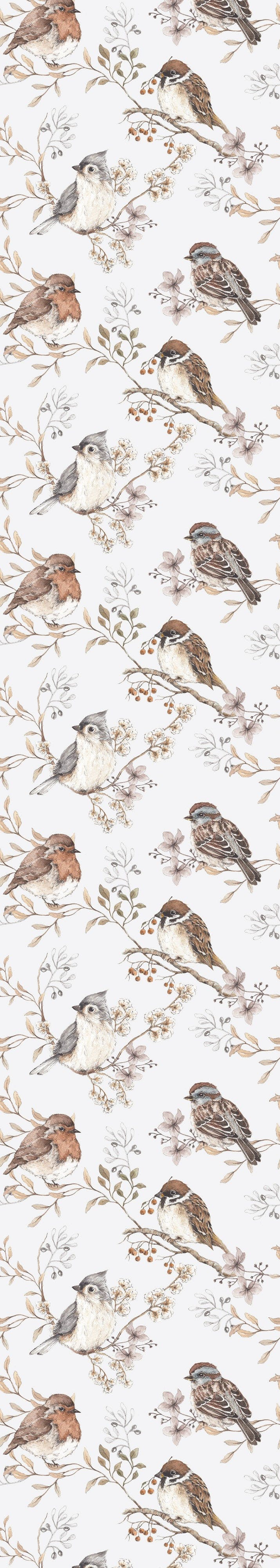 White & Gray Birds Wallpaper