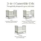 Namesake Abigail 3-in-1 Convertible Crib