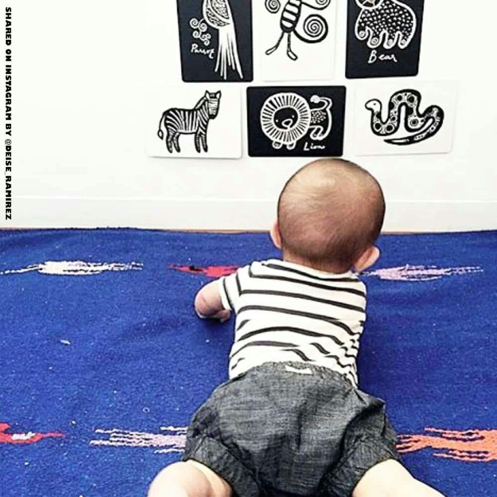 Woodland Art Cards for Baby