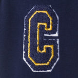 Boys Graphic Hooded Tee | Sports All-Star - Navy