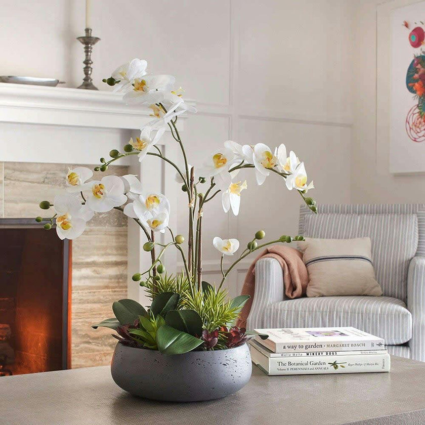 Artificial Orchid with Succulents