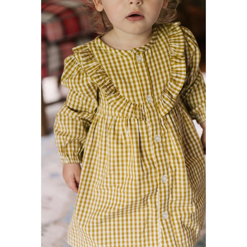 Dijon Gingham Dress, Yellow