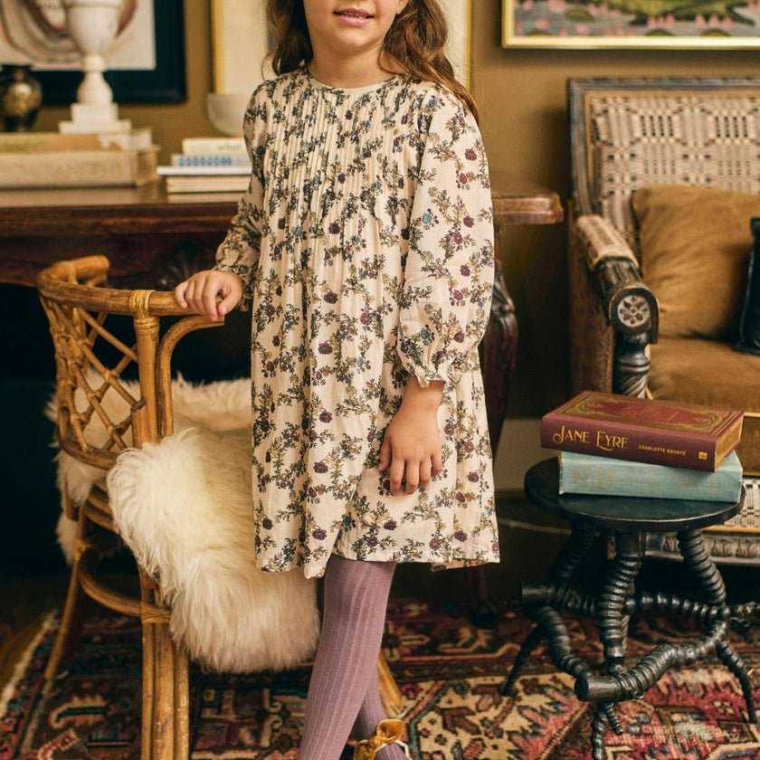 Charlotte Dress in Harvest Toile