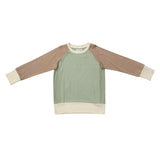 Boys Terry Sweatshirt in Taupe