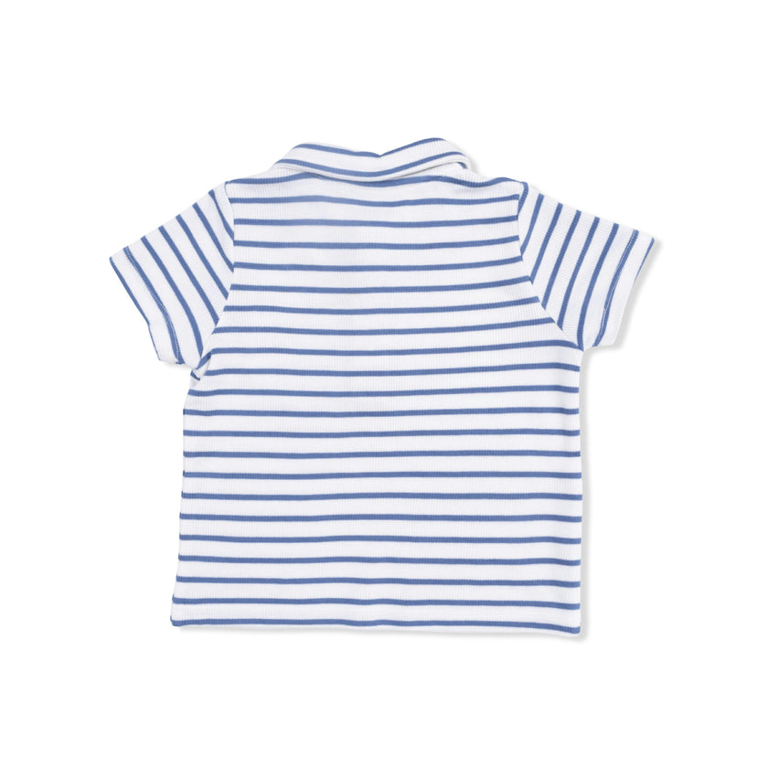 Navy Stripe - Polo with Everyday Short