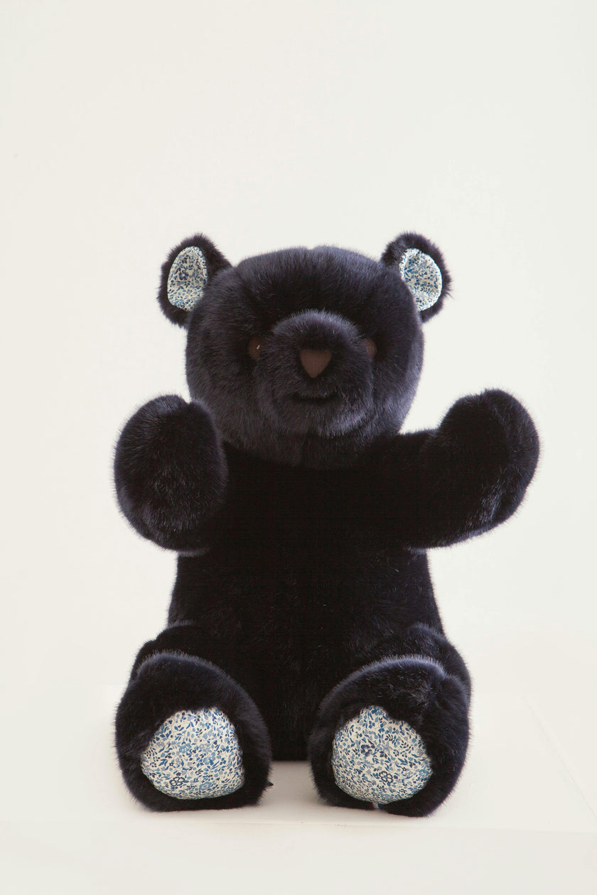 Robert the Bear