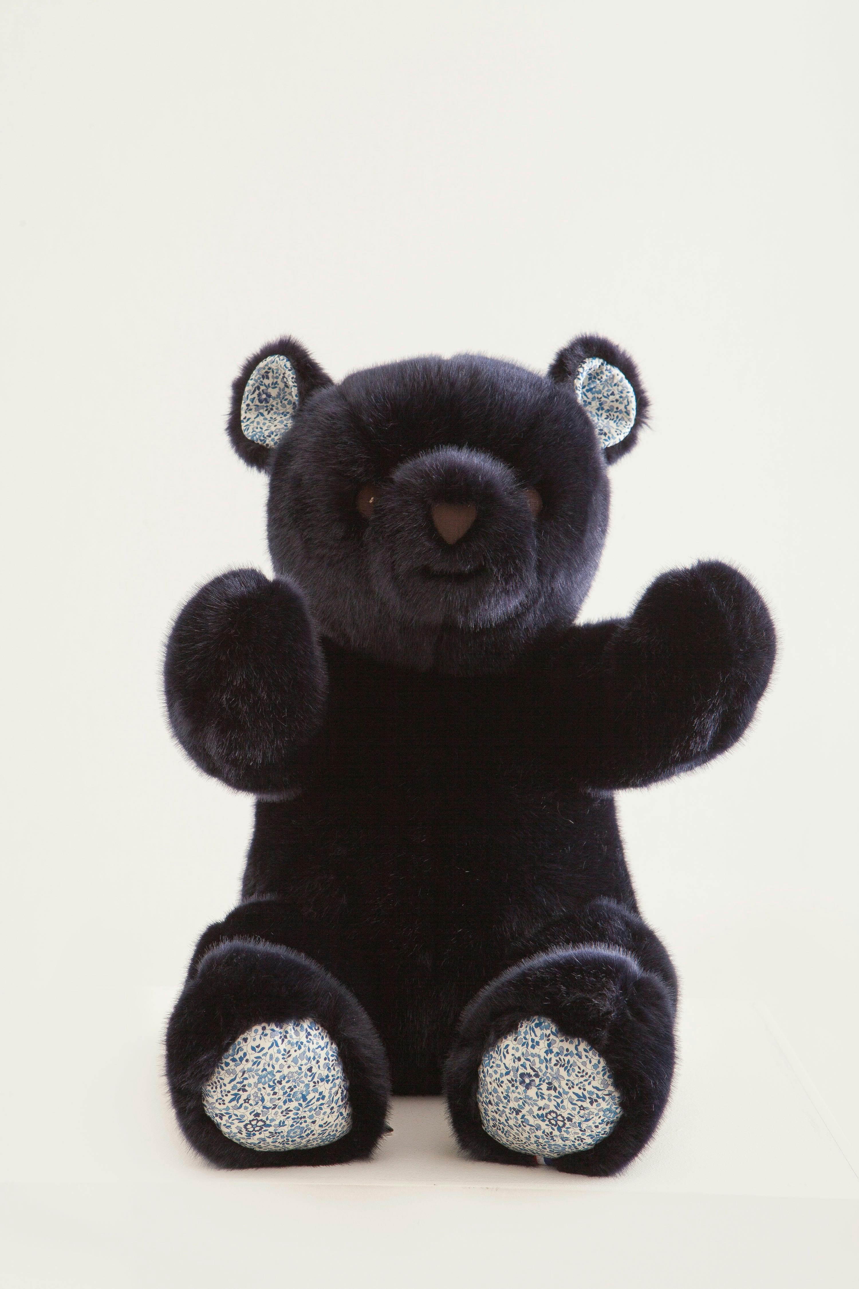 Robert the Bear