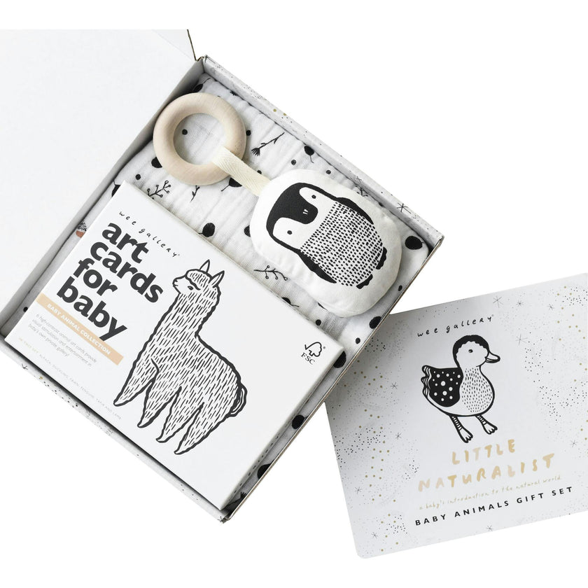 Gift Set Baby Animal s
