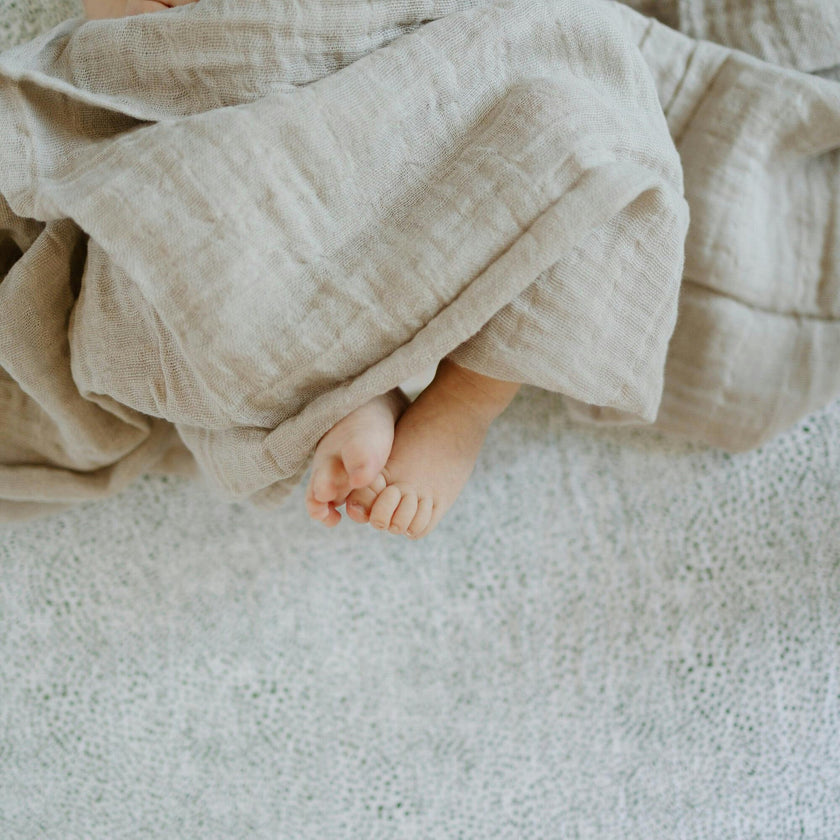 Cotton Muslin Crib Sheet - Green Seed
