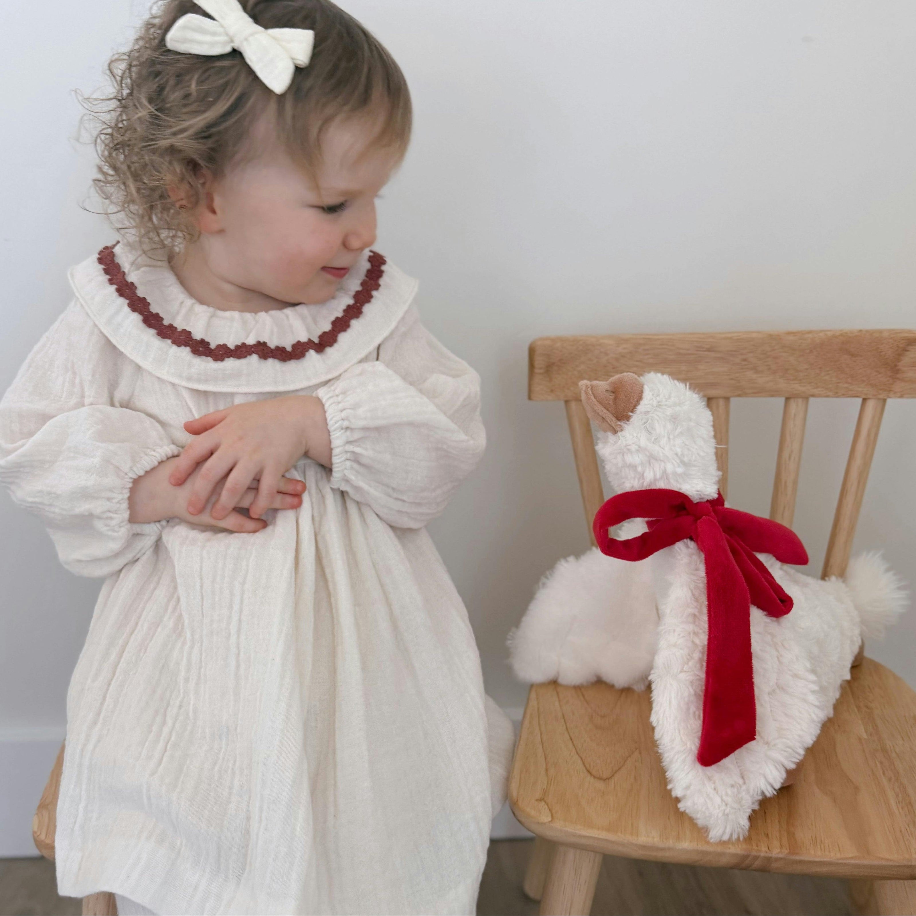 A Goose Called Pippa SET