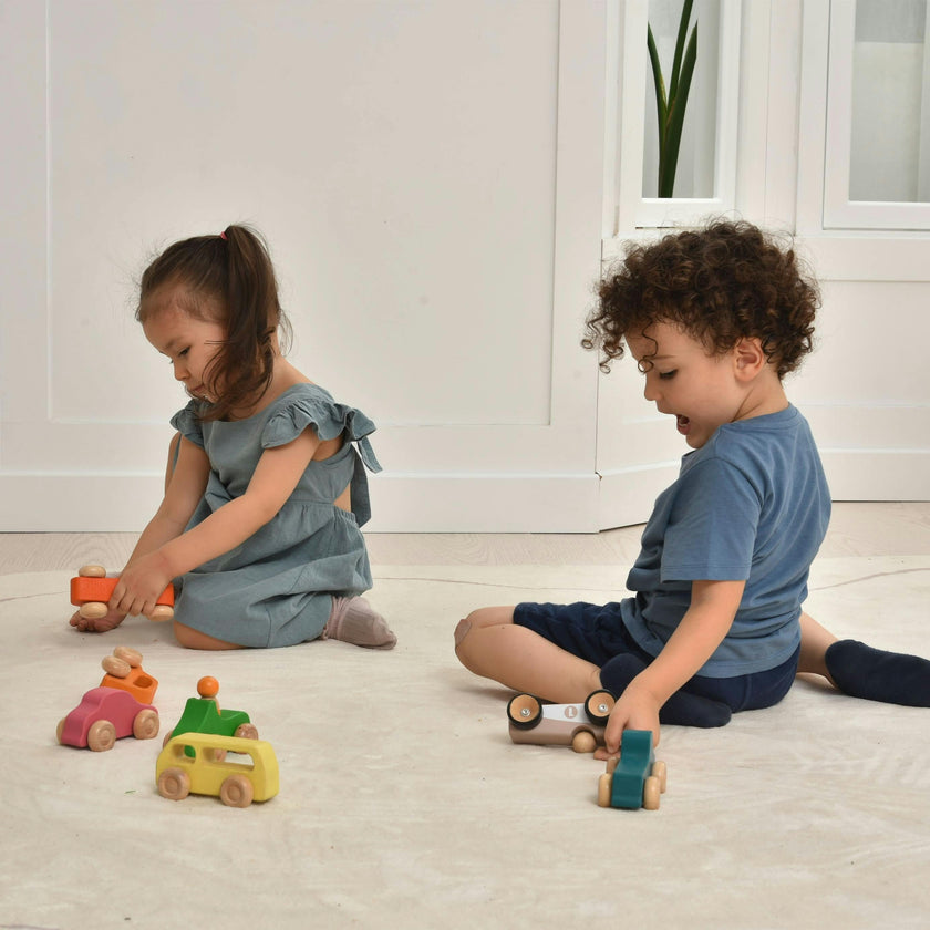 Wooden Car Toy set - 10 Piece Set