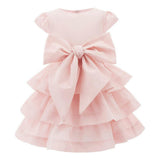 Soft Pink Ribbon Dress