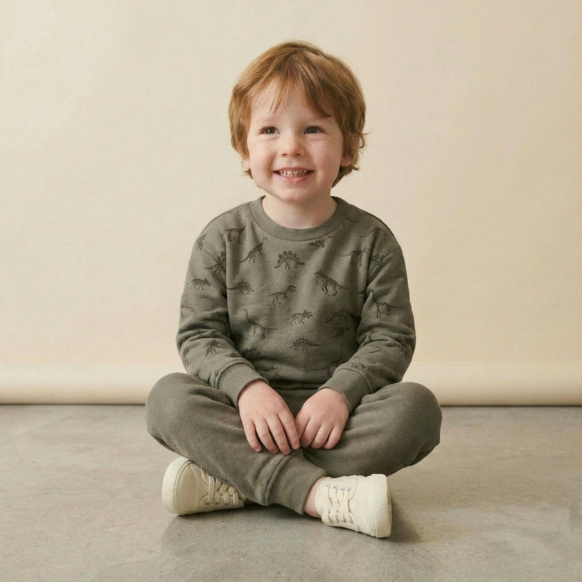 Organic Fleece Sweatshirt - Dino