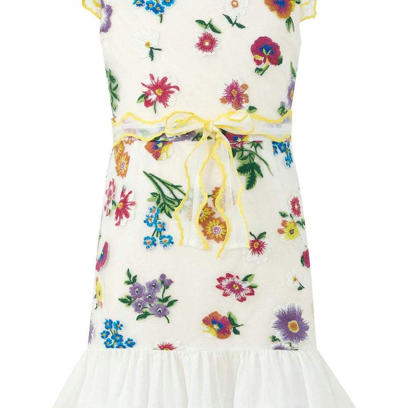 Carly Embroidered Mini Dress