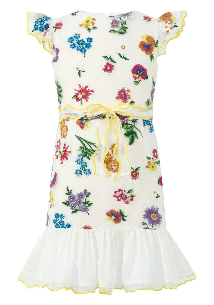 Carly Embroidered Mini Dress