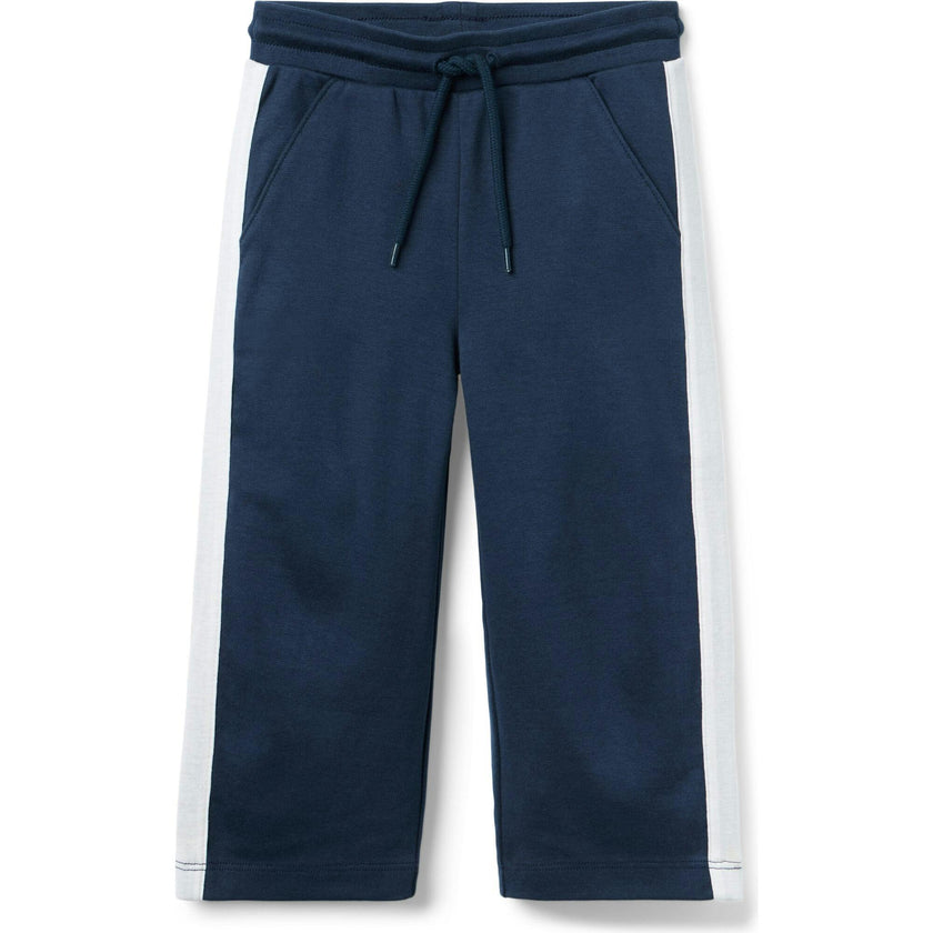 The Stripe Wide Leg Ponte Pant