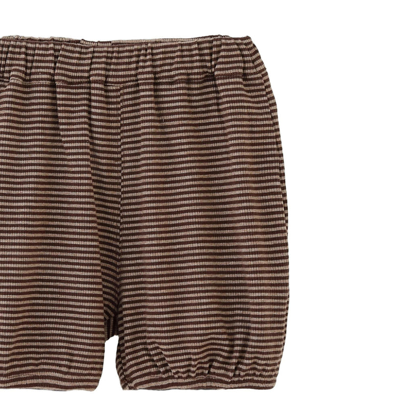 Brown Dog Stripe Set