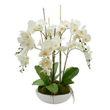 DH Orchid Floral Arrangement