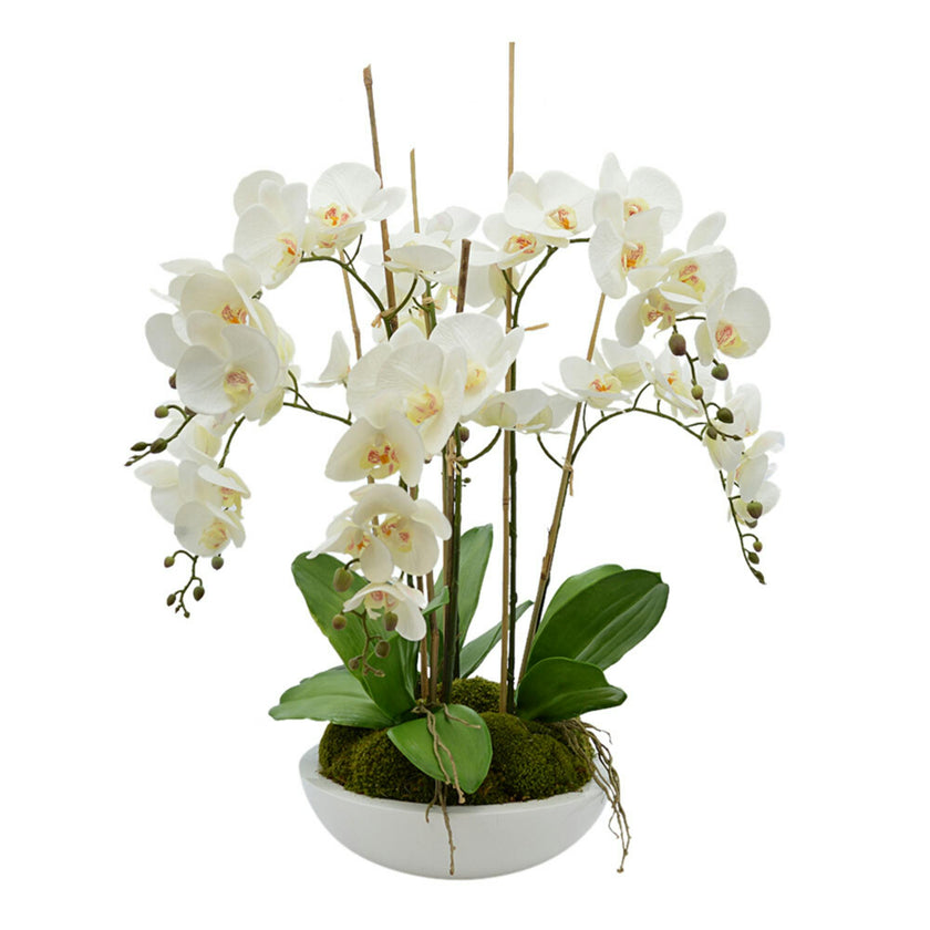 DH Orchid Floral Arrangement