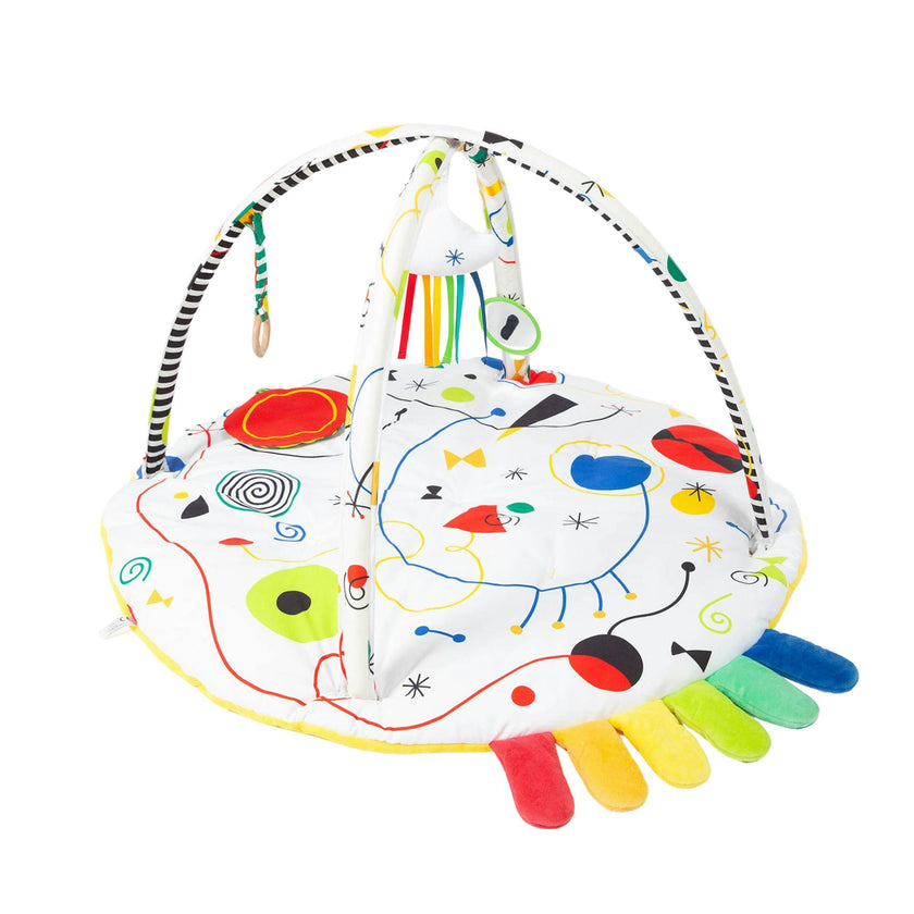 Baby Artist Play Gym