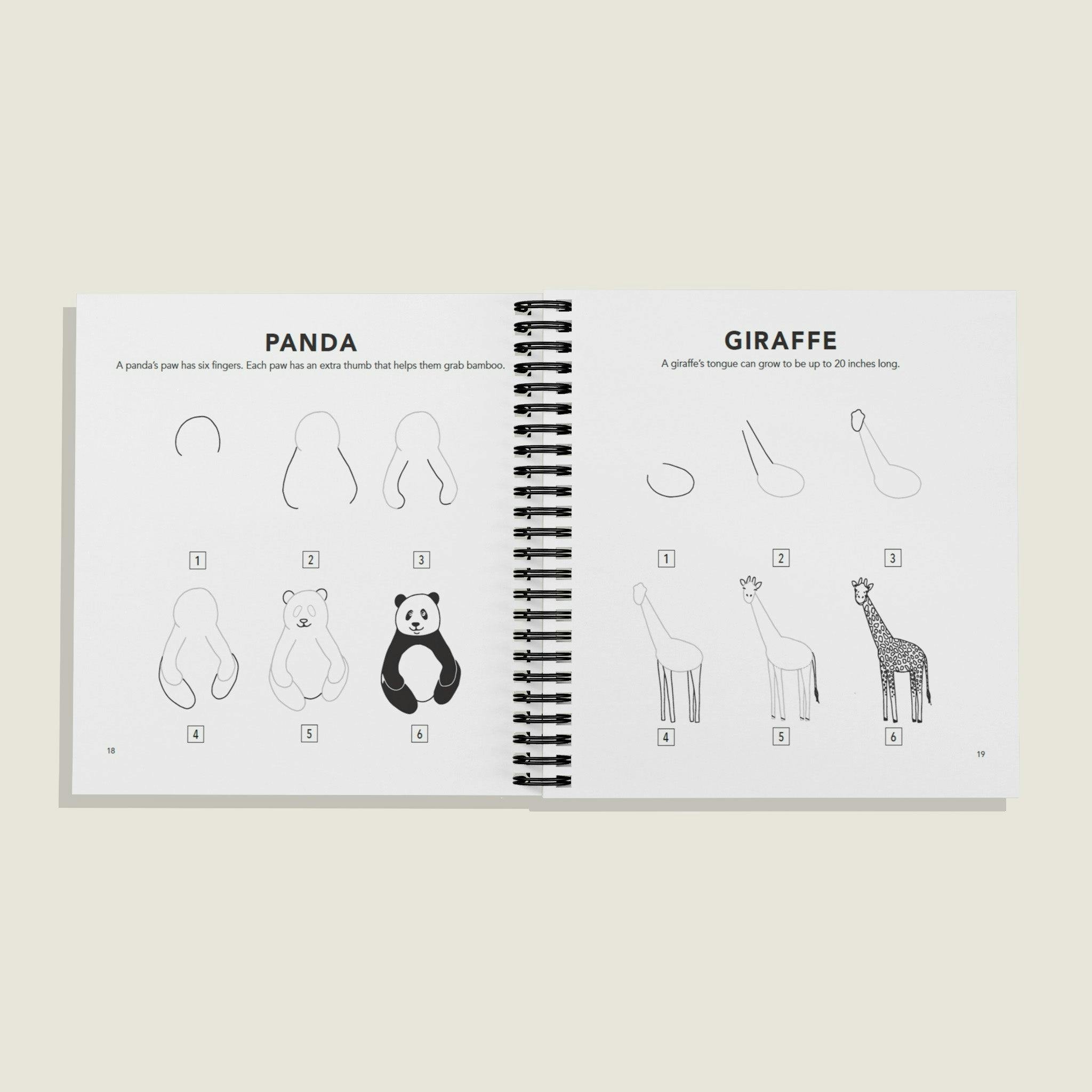 How to Draw All the Animals (Spiral)