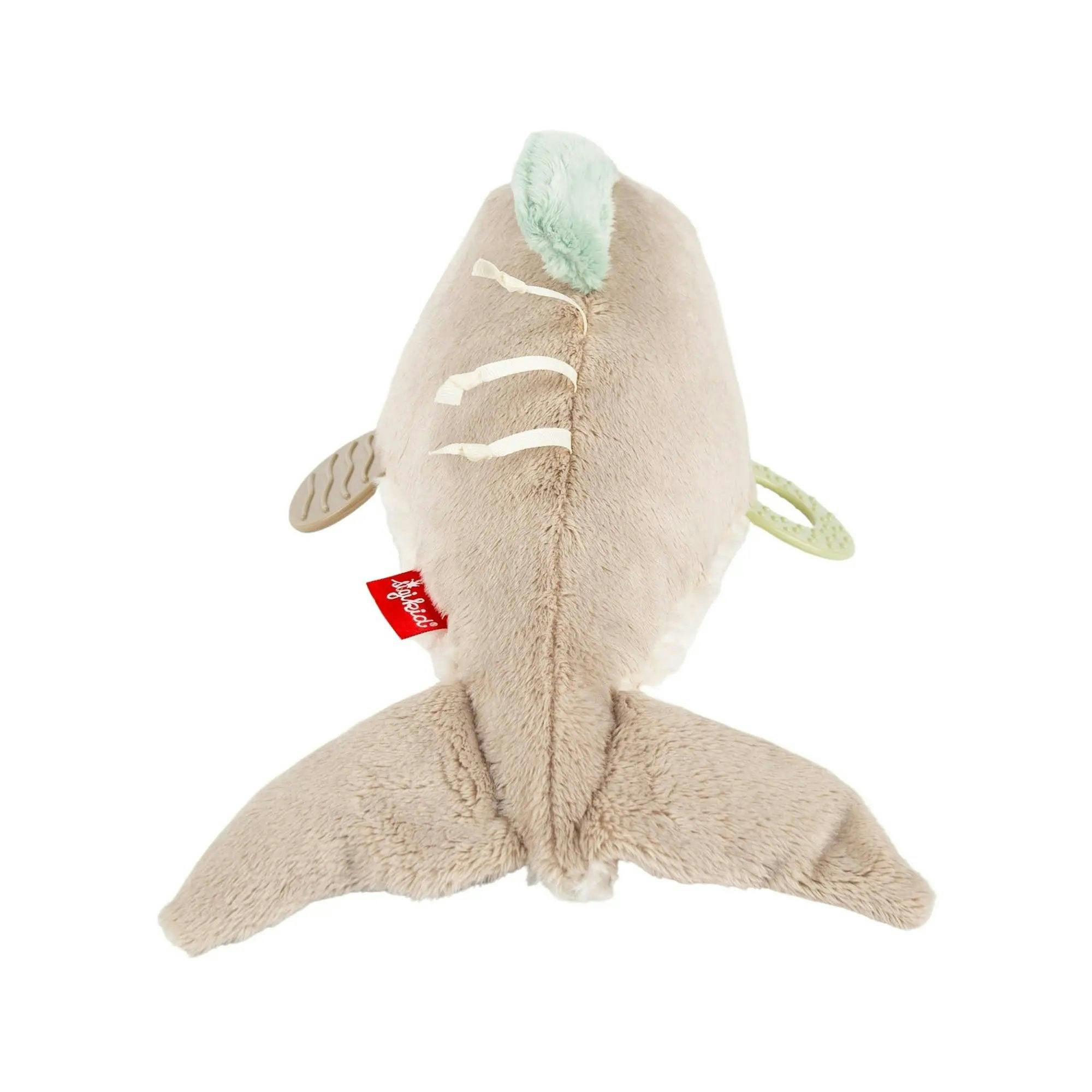 Dolphin Activity Toy
