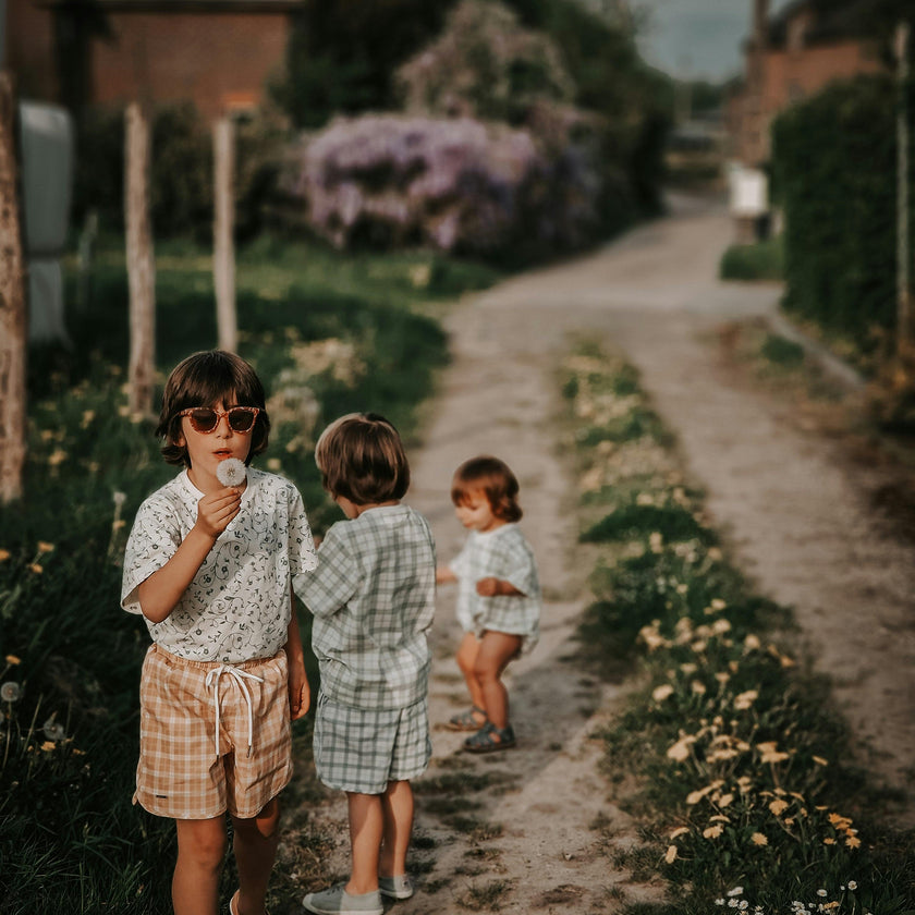Swim Trunks | UPF + Recycled - Buckwheat Plaid