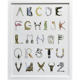 Animal Alphabet