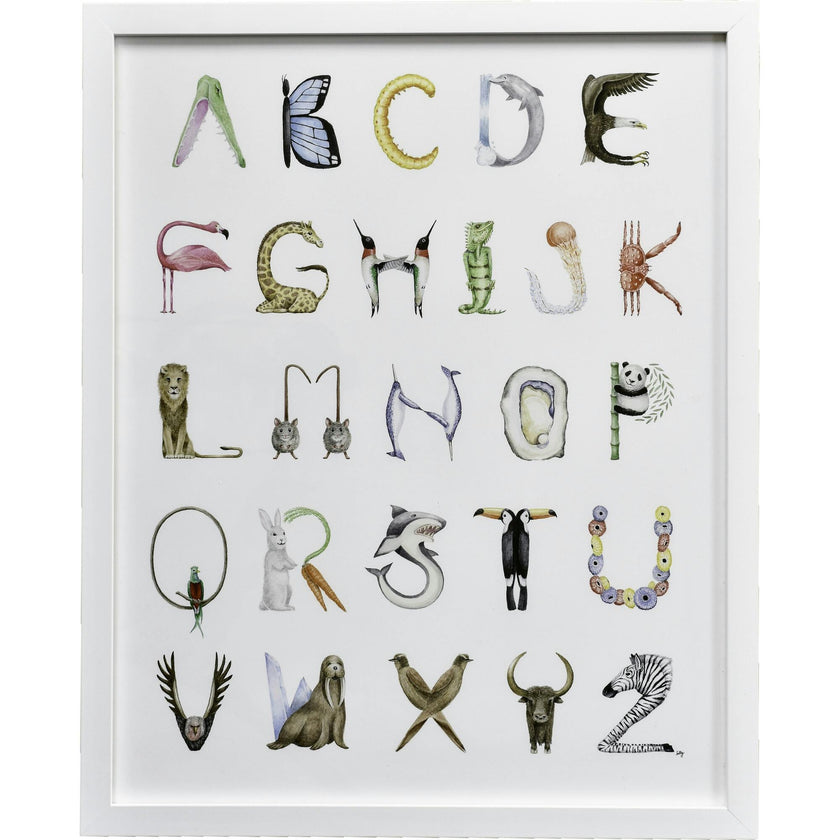 Animal Alphabet