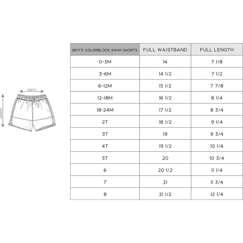 Boy's Colorblock Swim Shorts