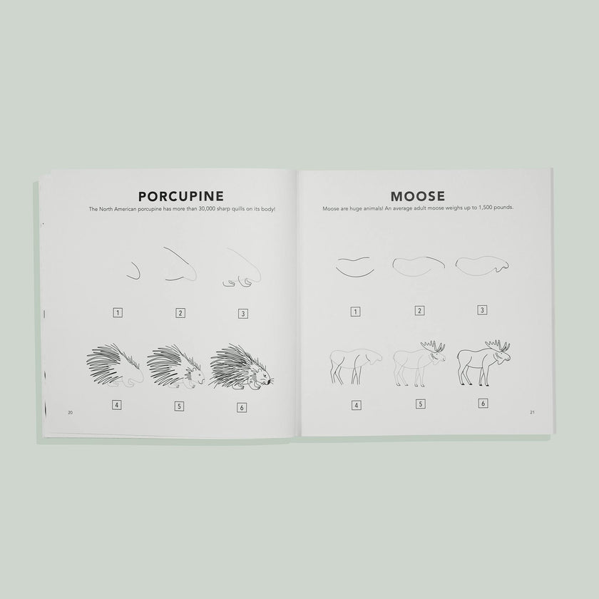 How to Draw for Kids: Mushrooms & Woodland Creatures