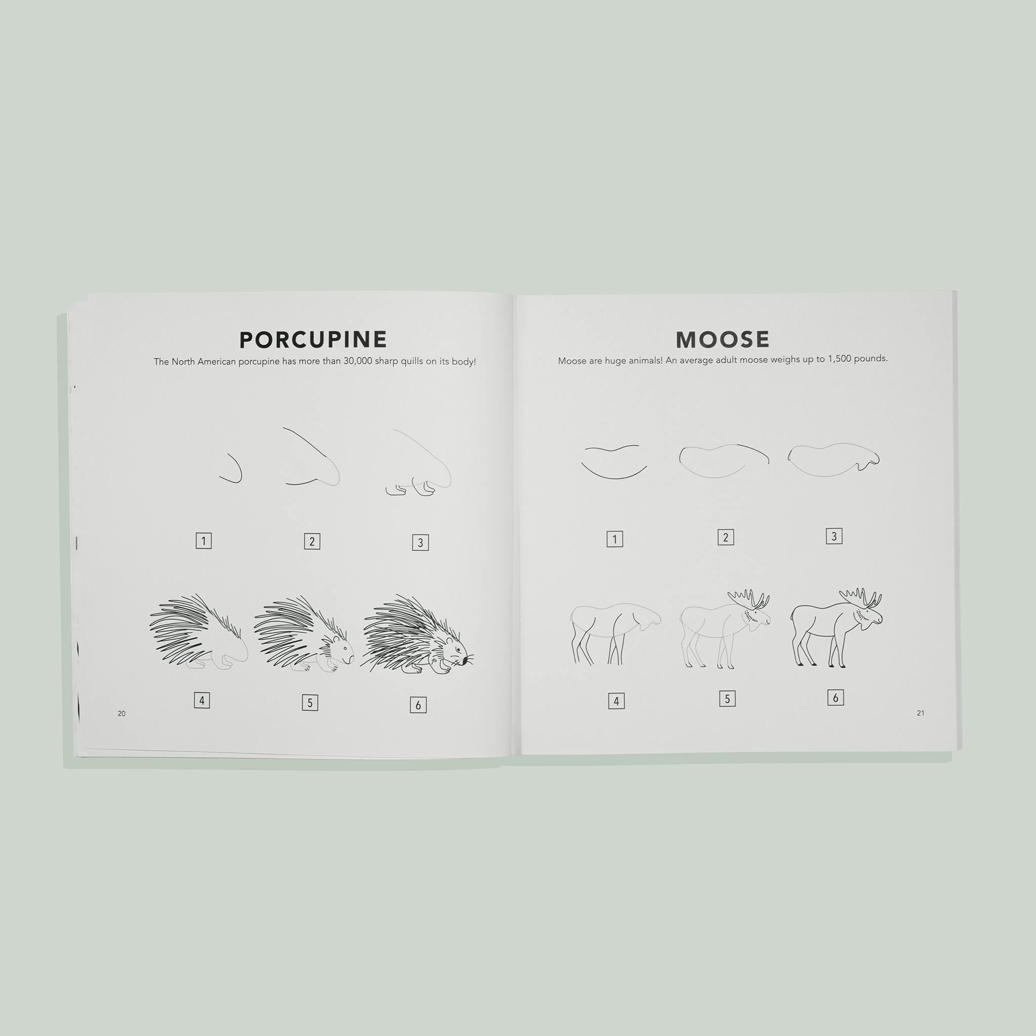 How to Draw for Kids: Mushrooms & Woodland Creatures