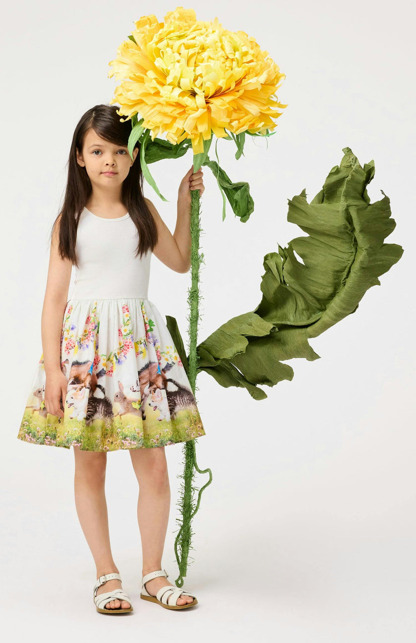 Cassandra Joy Run Dress