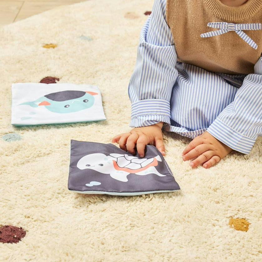 Sea Flashcards Set
