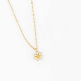 Daisy Set