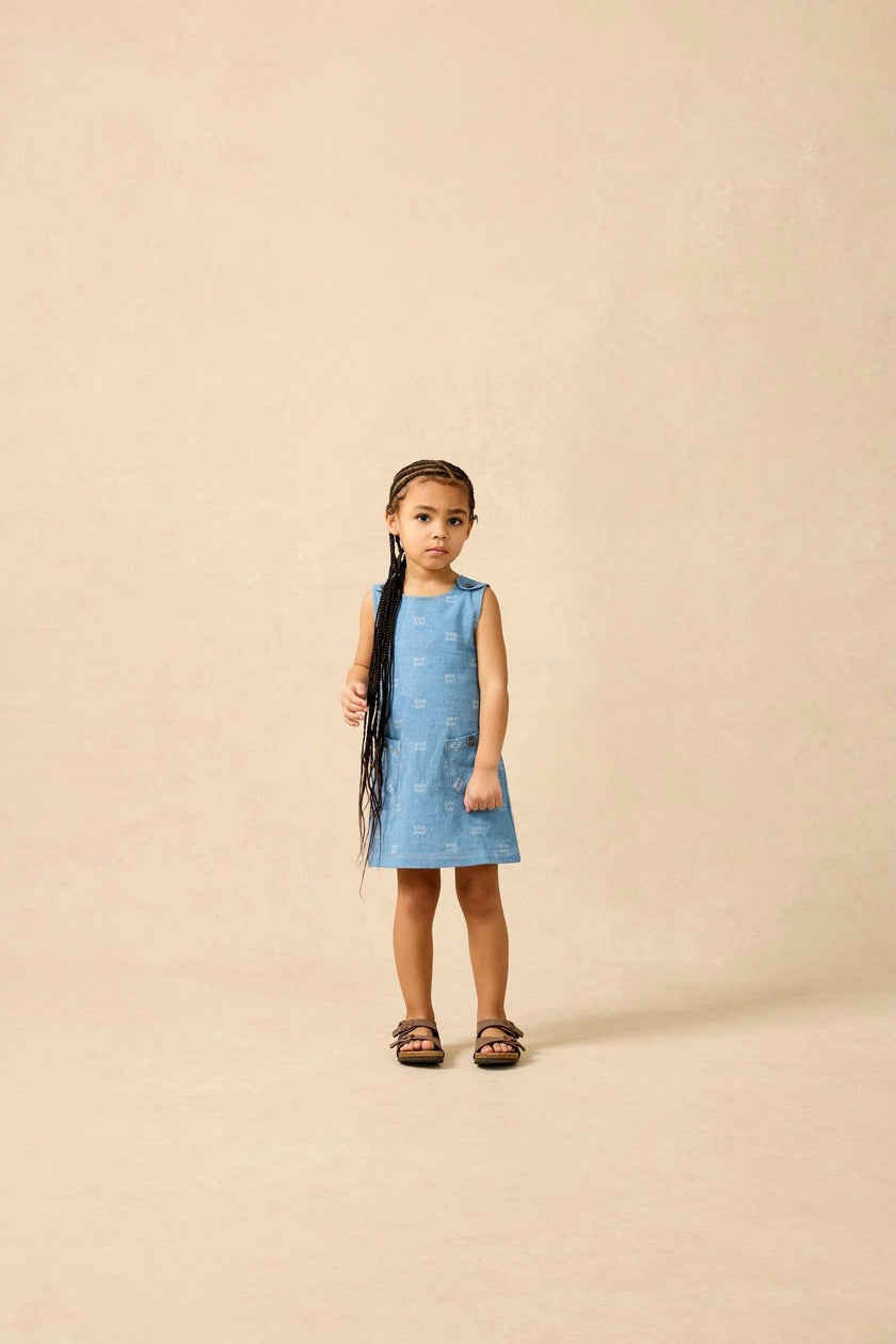 Jumper Dress in Denim